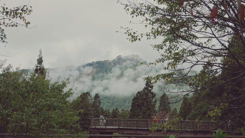大塔山(小百岳),阿里山森林遊樂區免費入園體驗