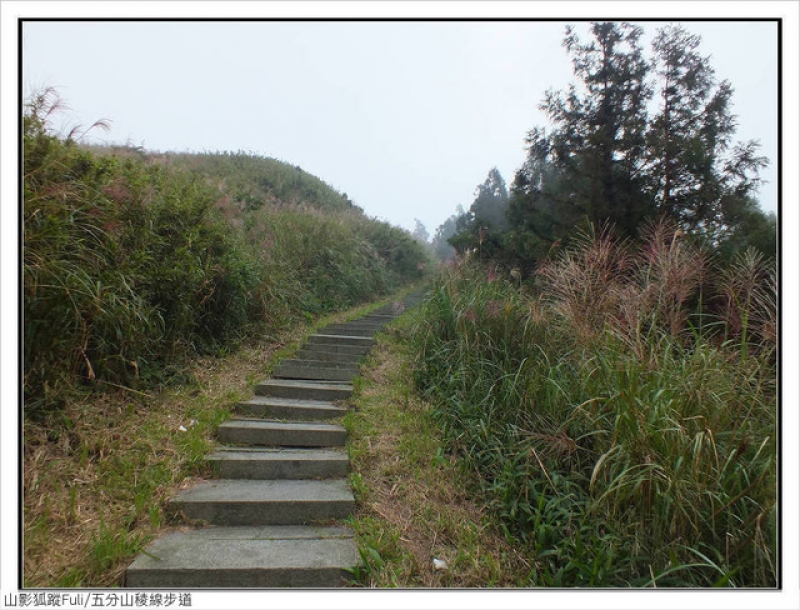 五分山稜線步道 (2).jpg - 五分山稜線步道