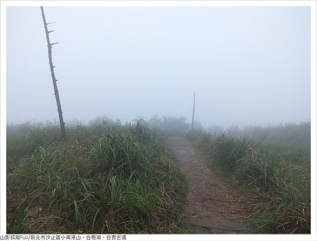 姜子寮山步道 (57).JPG - 姜子寮山步道櫻花