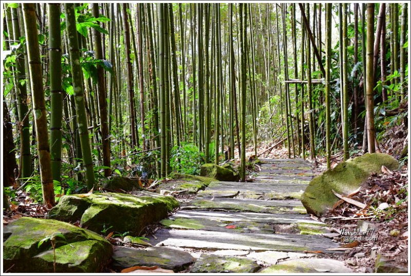 里佳步道遊 (29).JPG