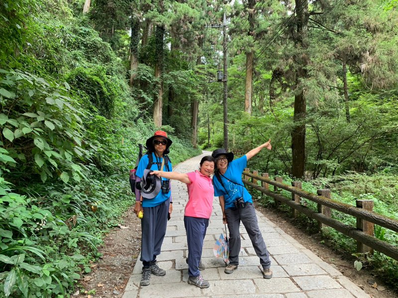 日本遺產靈氣滿山2023 D0808 高尾山- 健行筆記