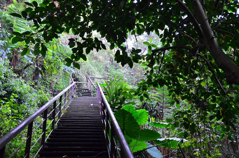 香山森林步道