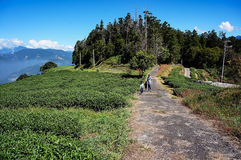 戀上原香看高峰山