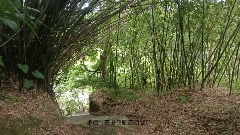 97f4c832071eeae07210860e72221141.png