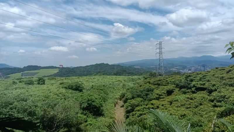 9800d249af9207d9d2261657563c84f8.jpg
