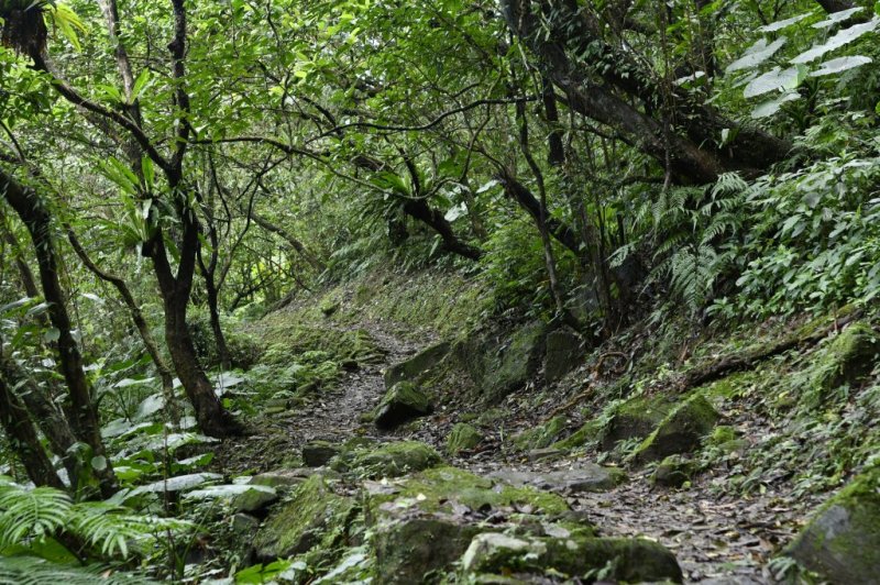 淡蘭中路第二段：十分老街至威惠廟