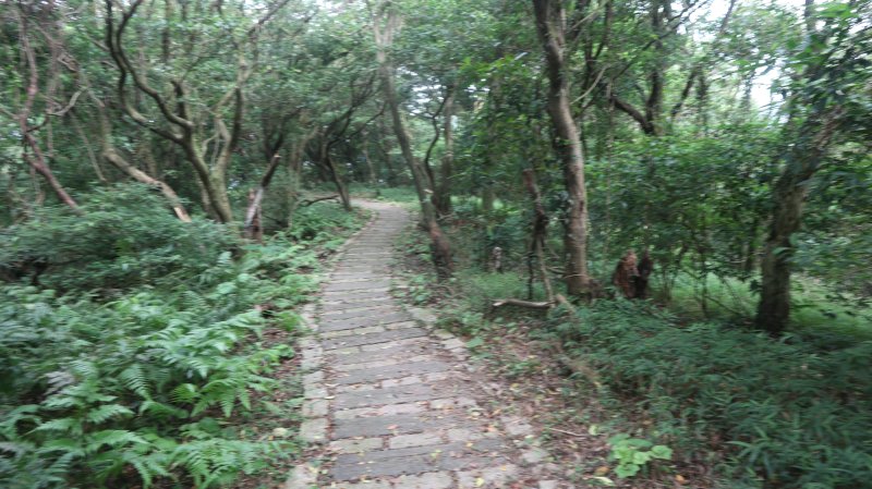 982adec619c740ec2c64035953f9c795.jpg