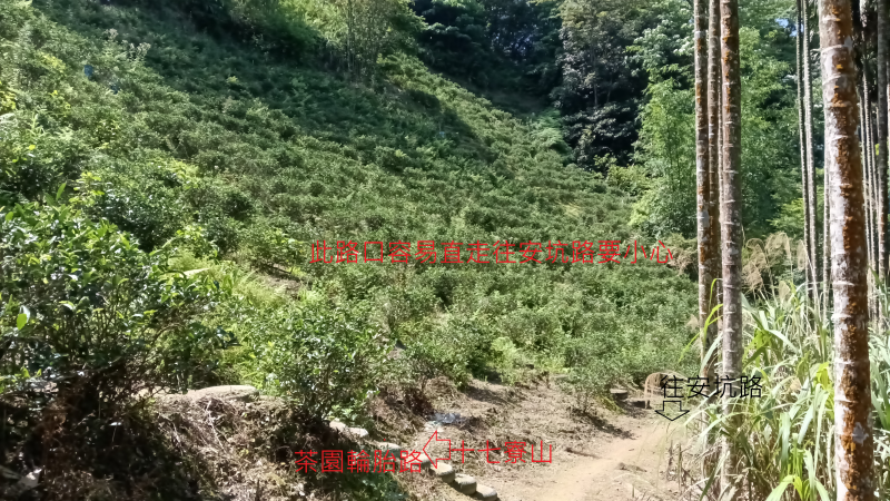 98543e5fed88a81d4a5486f82c83b6ed.png