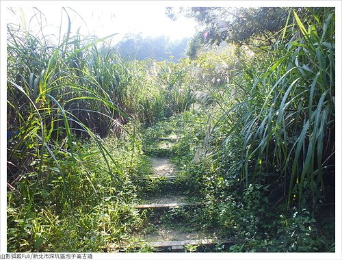 炮子崙古道 (17).JPG - 炮子崙古道