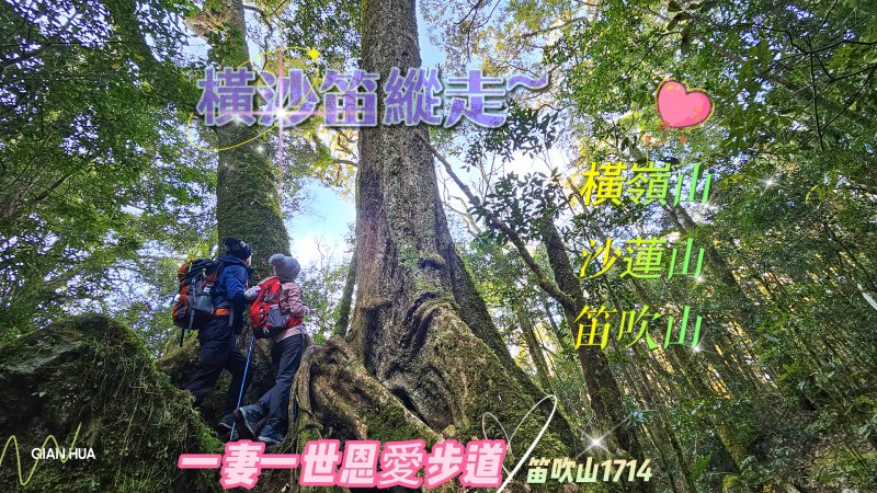 【橫沙笛縱走】橫嶺山/沙蓮山/笛吹山~大雪山熱門縱走路線