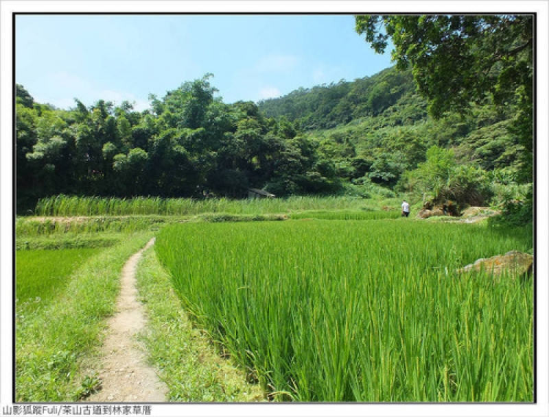 林家草厝 (28).jpg - 林家草厝