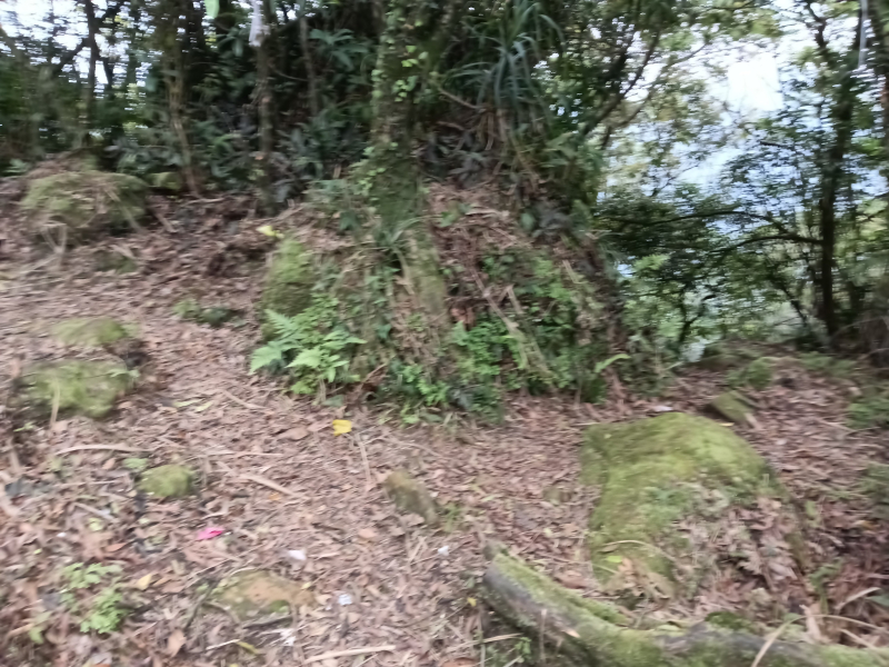 995873453119a96c056b07189336756a.jpg