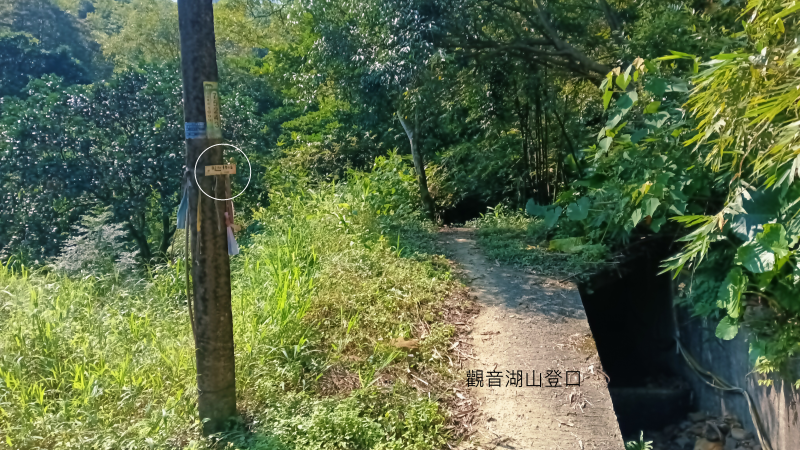 998d7ecf8b5086a5b2b2152ac90ebdc2.png
