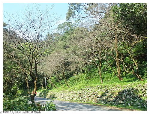 上鹿窟崙山 (3).JPG - 上鹿窟崙山