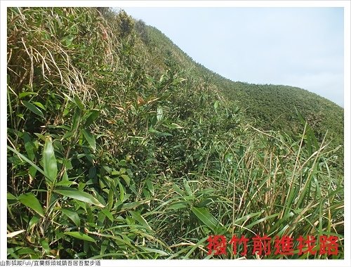 吾居吾墅步道 (104).JPG - 吾居吾墅步道