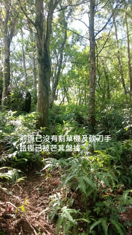 99fef9c20656917d0156e880e6e5f138.png