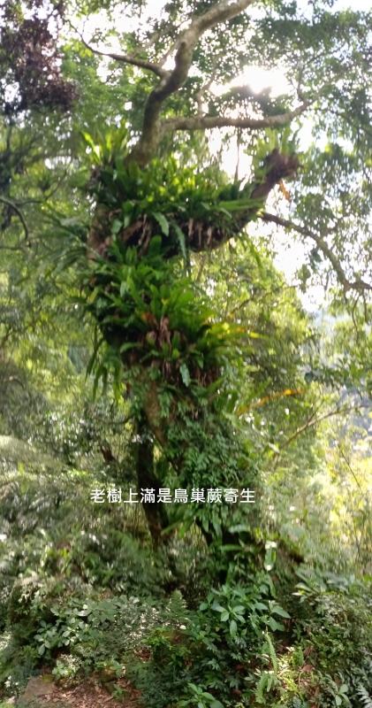 9a61f5b6f307ea64d88d9cedc1ea7615.png
