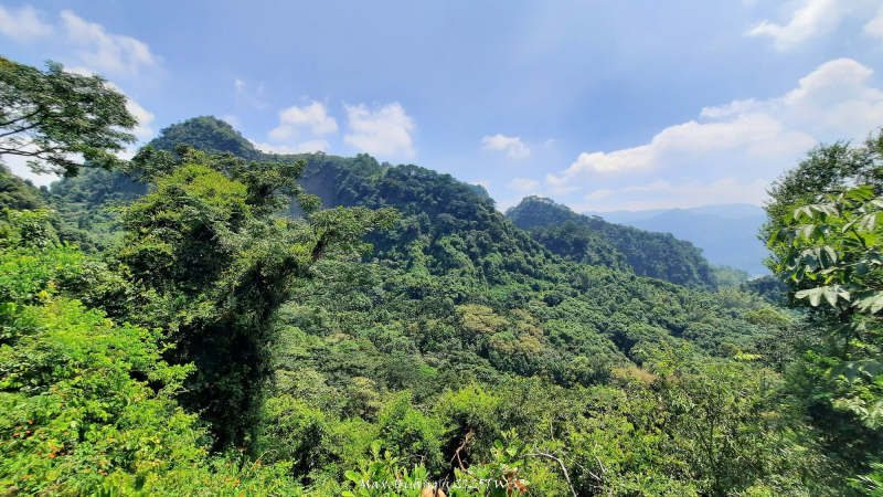 《南投》峰峰相連｜草屯九九峰森林步道O型