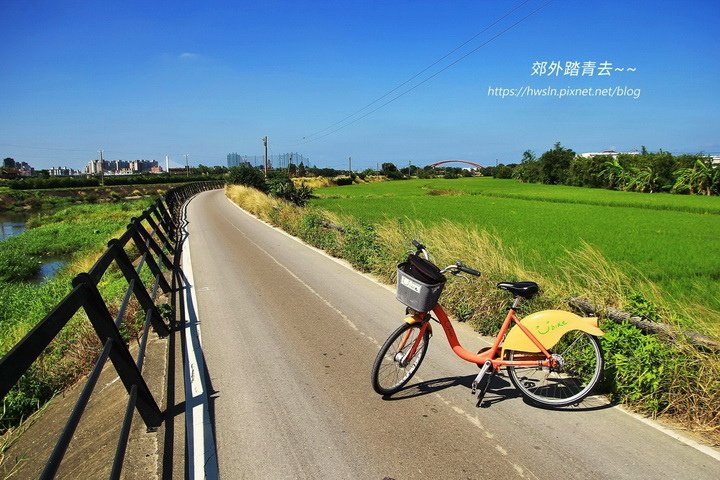 新竹 白地風帆映稻禾 豆子埔溪自行車道 健行筆記