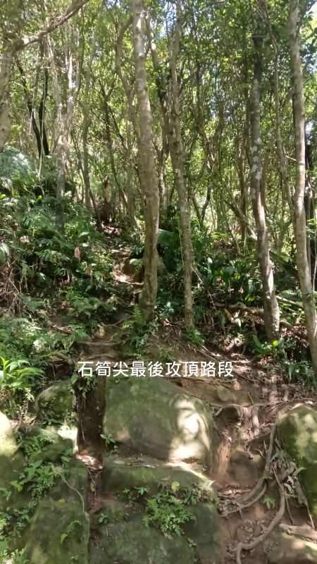 9b959295a21274d34d9966eb4af44c82.png