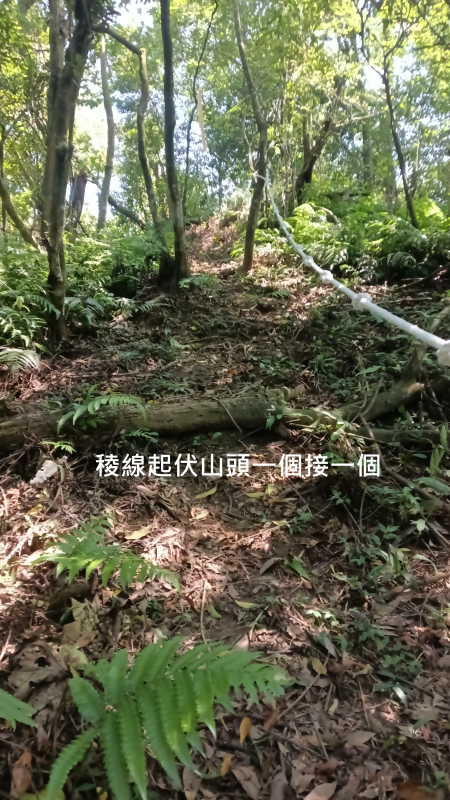 9b981ffe3e10c73814887e64abf33237.png