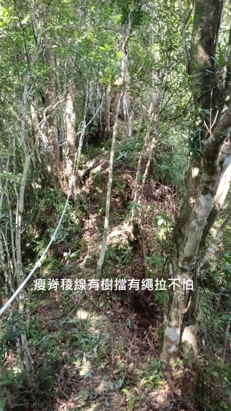 9bc0ff0b38721574b1f5fc7110323993.png