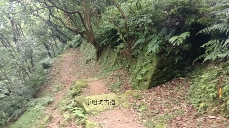 9c13e6cf0edb684207481d2f17d349fb.png