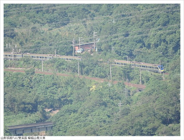 蝙蝠山火車 (53).JPG - 逸仙山看火車