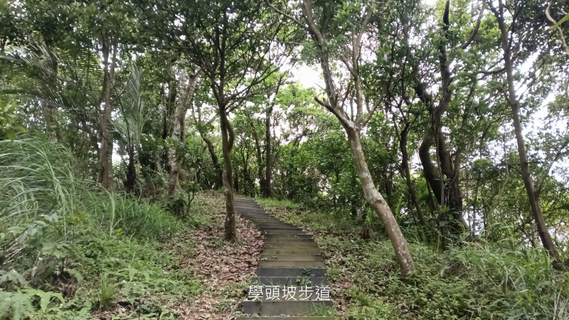 9cdaf1fa5e02bcf1a4c9cc09edb1df51.png