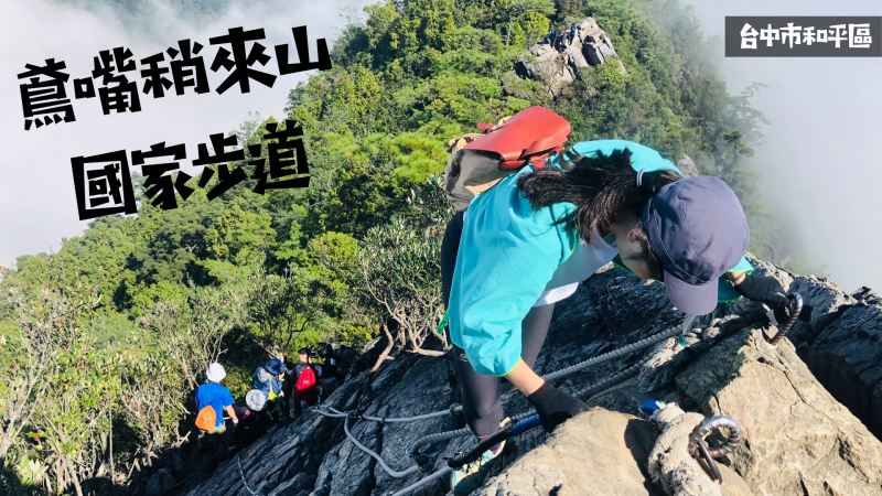 鳶嘴稍來山國家步道|玩命攀岩加上森林步道的浪漫之旅