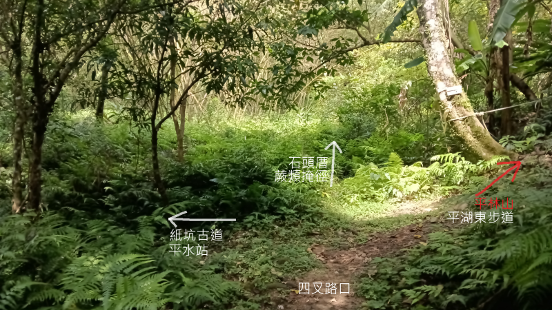 9d476526dbe29d9e127c1dc5df628819.png