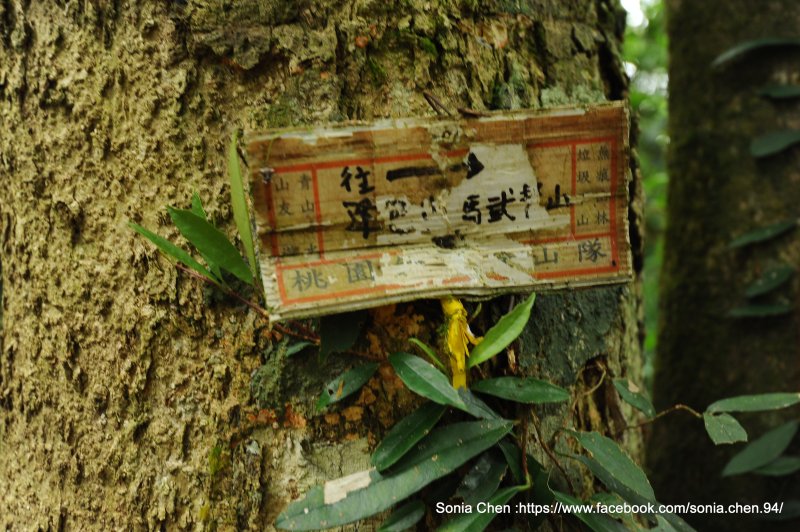 9d58f8eca96980e05984047c990af4b6.jpg