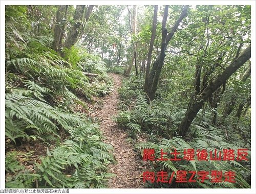 石梯坑古道 (57).JPG - 石梯坑古道