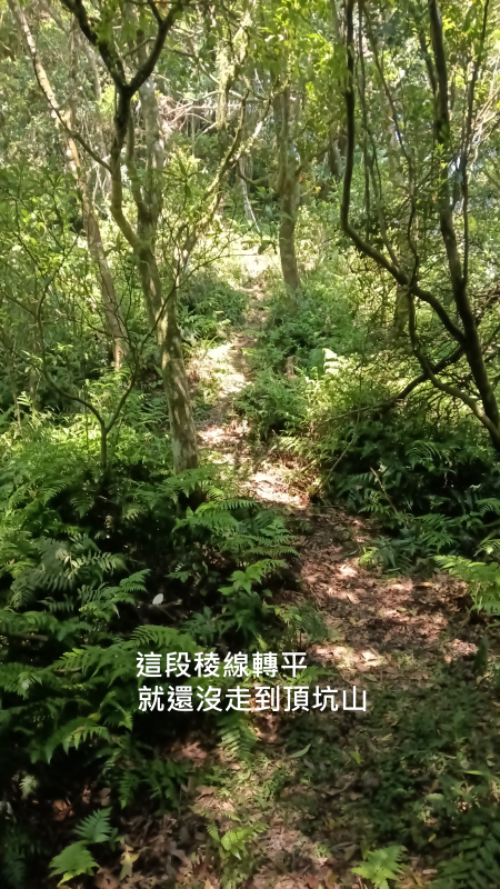 9d91d0878cb6a9c5309ff531b6492b84.png