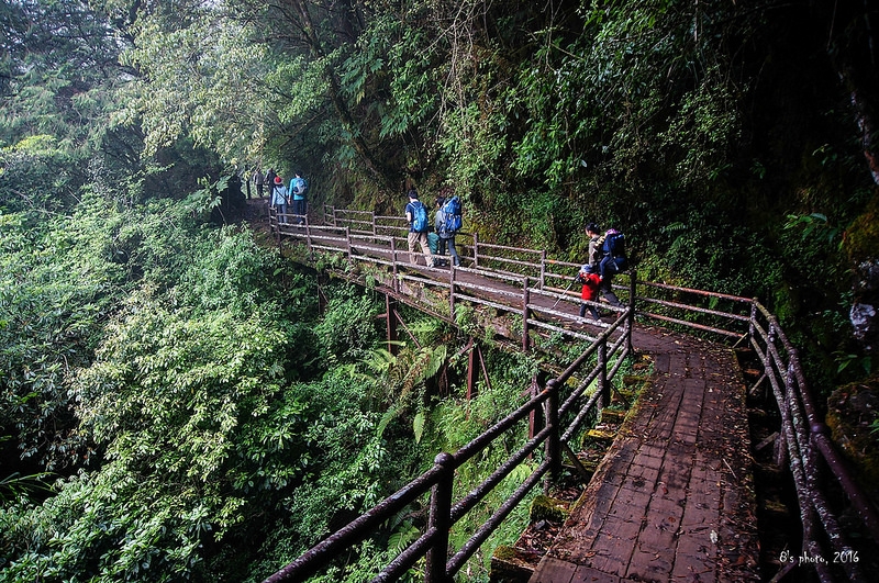 特富野古道