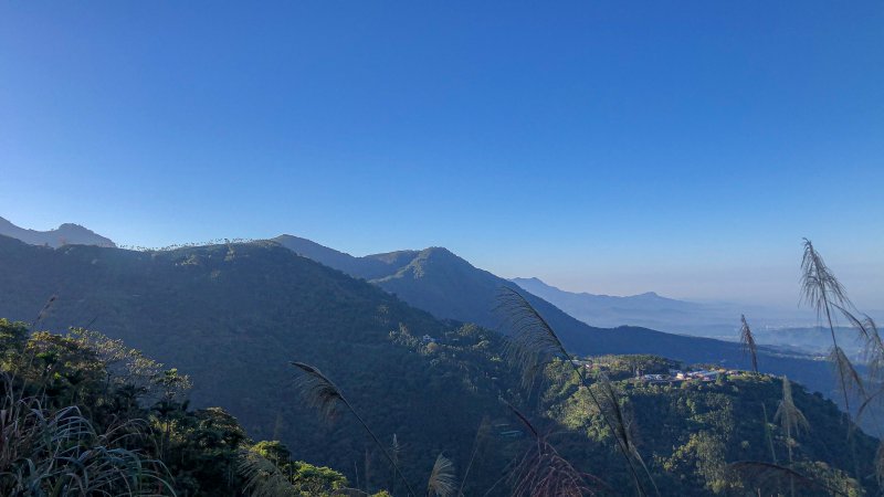 塘湖古道走金獅山、交力坪山、大坪山  附加嘉義頭凍山