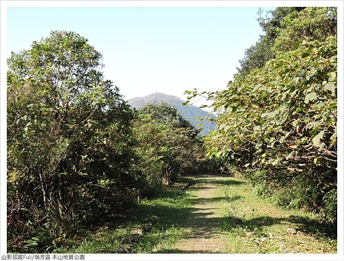 本山地質公園 (28).JPG - 本山地質公園