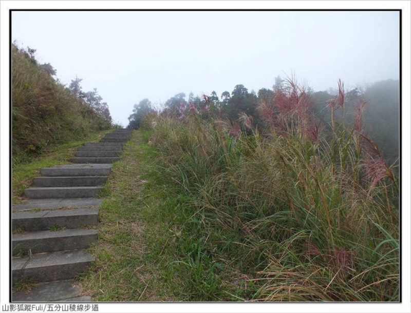 五分山稜線步道 (84).jpg - 五分山稜線步道