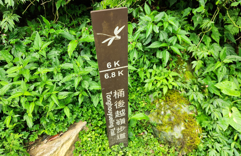 9e5ae928bf031cb38cb3f4cfdbe1293b.jpg
