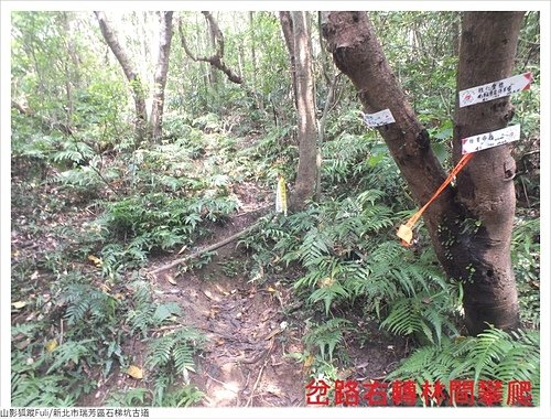 石梯坑古道 (51).JPG - 石梯坑古道