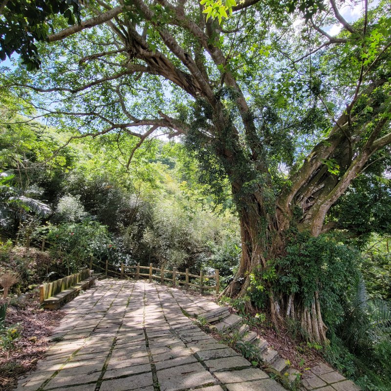 金獅村步道（金獅古道）