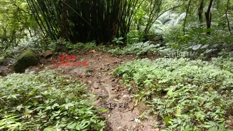 9f064795ecda1d8869805e49ec5212d0.png