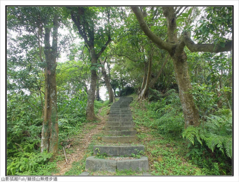 獅頭山無菸步道 (4).jpg - 獅頭山野牡丹