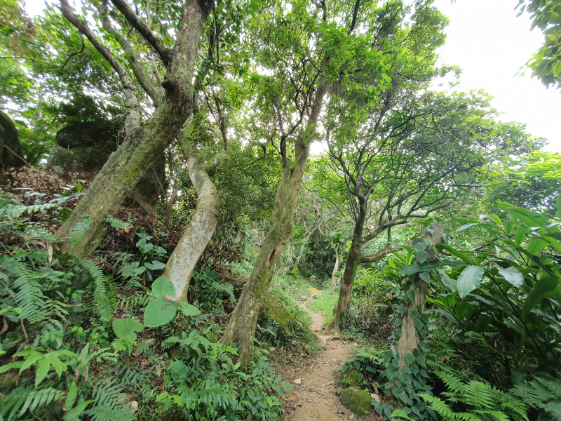 微笑山線：【天上山系】烘爐地土地公段