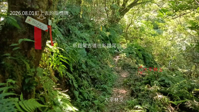 9f508cb2e13edabe86f40b141e609c49.png
