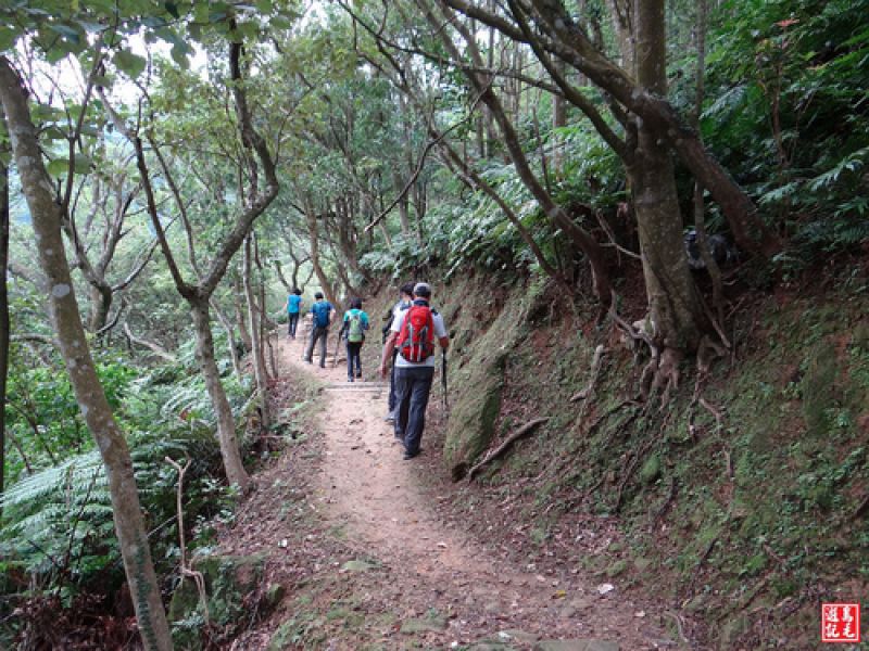 台北市 二格山步道 健行筆記