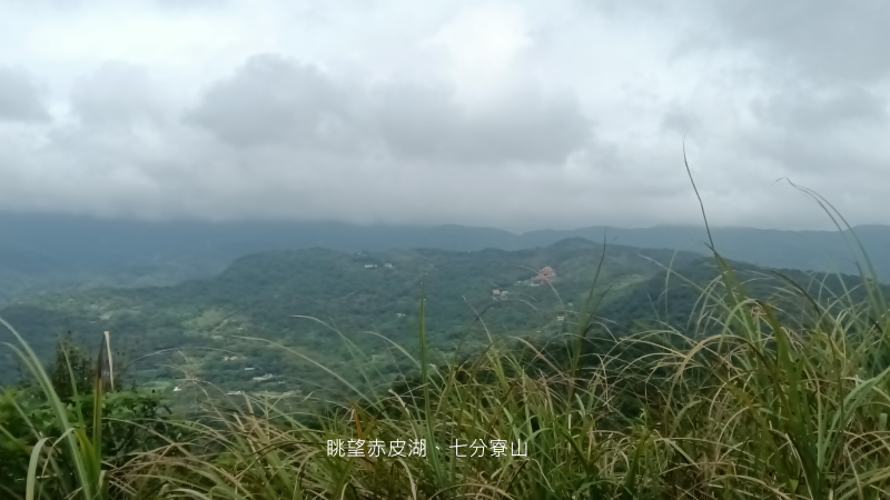 a00748e98d2e56f53ceb1950275cc97a.png