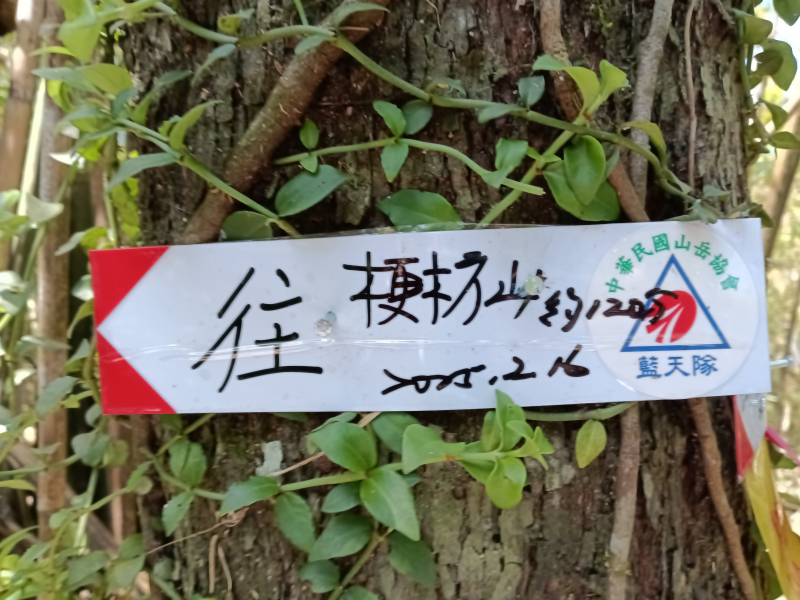 a01cdc923b7fc8dbb0b286fdca27346d.jpg