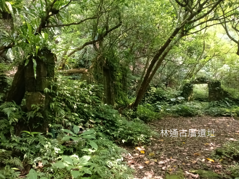 a01e6534f79240c960065f51e084b693.png