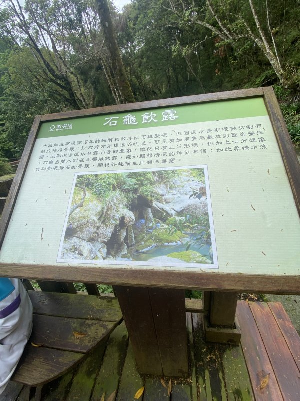 a04412aacb27681a127151569234f990.jpg